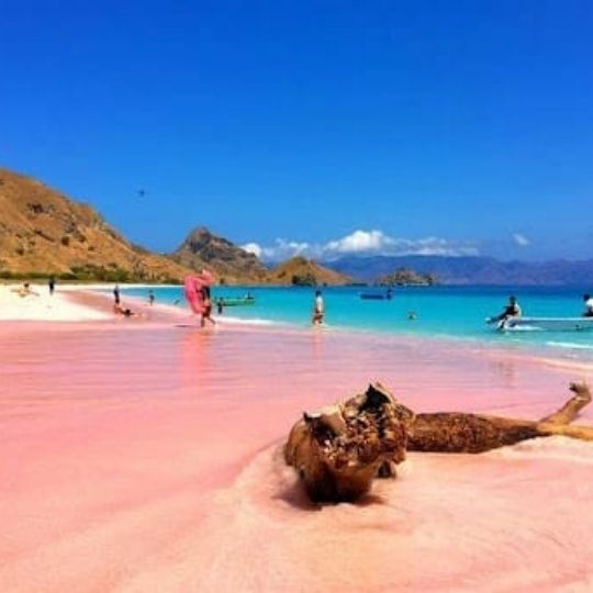 Pantai Pink